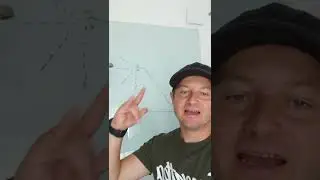 🚀4 Schritte wie du beim nächsten Bullrun zum Gewinner wirst💰