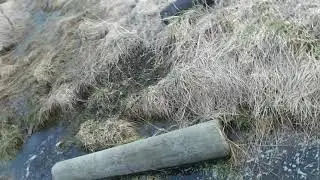 Обкатка Караката Барс, Карелия Ведлозеро.