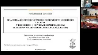 001 защита диссертации Горбач Е С  290524