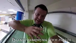 Аквариум 2500 литров. Ремонт