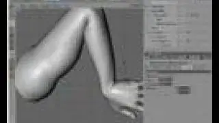 C4D_muscle_tuts