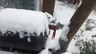 Первый снег.