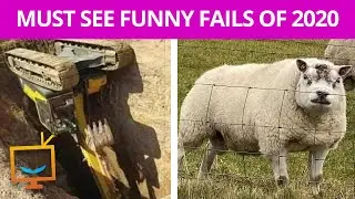 MUST SEE FUNNY FAILS OF 2020