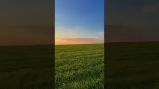sounds literally like freedom 