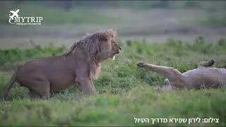 טיולי המלטות בטנזניה עם מיי טריפ