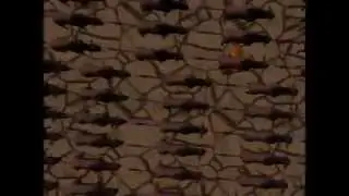 Король лев в 3D прикол