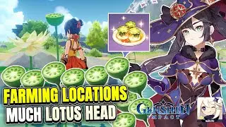 Tons Of Lotus Head Locations How To Get Much Lotus Head Genshin Impact Locations Farming