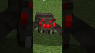 ¿POR QUÉ HAY ESQUELETOS MONTANDO ARAÑAS? 