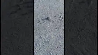 Чум. Тут люди живут, всю жизнь.
