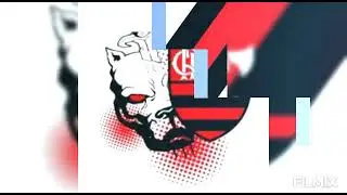 Flamengo até morrer