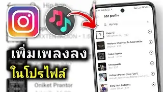 วิธีเพิ่มเพลงในโปรไฟล์ Instagram | ใส่เพลงในโปรไฟล์ Instagram ของคุณ (คู่มือฉบับสมบูรณ์)