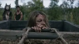 Wrong Turn 7 (2021) Full Hollywood Movie Explained in Hindi | Insight prime corner