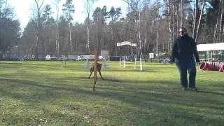 Training Spike