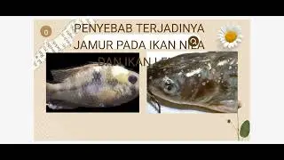 organisme yang terseng virus, jamur, bakteri 😇