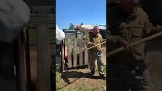 Почему КОЗЛЫ и БАРАНЫ не пасутся на лугу🤔🐐🐑🌳