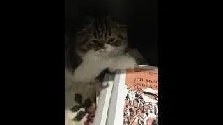 как жить? )