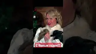 Новогодняя песня про зайцев