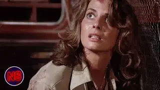Stuck in the Bat Trap | Nightwing (1979) | Now Scaring