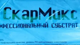 Верховой торф для фиалок. Скармикс .