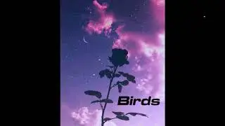 [FREE] 