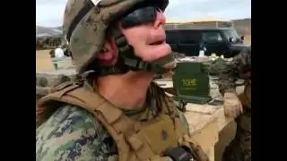 Soldier Turtle