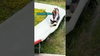 A squirrel was in her way 😂 