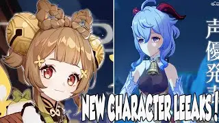 Genshin Impact New Leaked Characters!