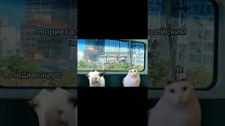 Когда ты учишь корейский…🤣🤣 #корея #корейскийязык