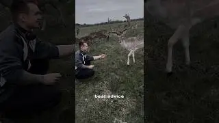 Жизнь в Ирландии #ирландия