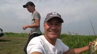 Рыбалка Жор карася на Крестах (Павлодарская область)