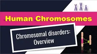 Chromosome and Chromosomal disorders
