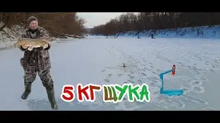 ВОТ ЭТО ЩУКА НА 5 КГ! ВОТ ЭТО БОРЬБА! ПЕРВЫЙ ЛЕД 2023 - 24 ГОДА! РЫБАЛКА НА ЖЕРЛИЦЫ!