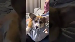 lil yawn! 😍😍😍