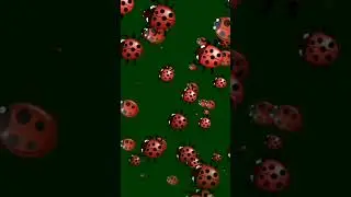 # shorts # ladybugs moving # miraculous ladybug theme #