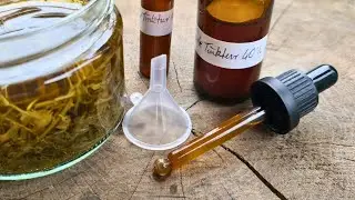 Heilpflanzen-Tinkturen: Einfache Anleitung zum selber machen