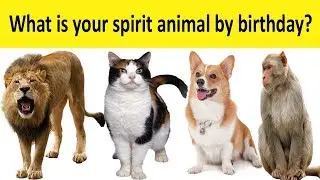 What is Your Spirit Animal By Birthday?