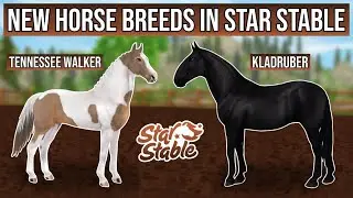 NEW Kladrubers & Tennessee Walking Horses in Star Stable!