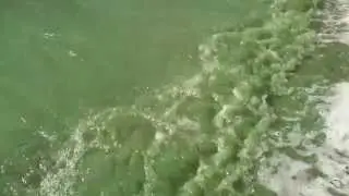 "Зеленое озеро"