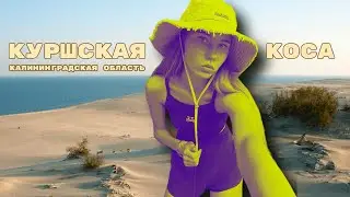 КУРШСКАЯ КОСА, лето 2024 в Калининграде / ДЮНА ЭФА / Как добраться / Цена за въезд / Где жить