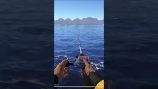 Русская рыбалка 4 - Пинагор! Норвежское море!