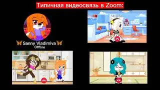Типичная видеосвязь в Zoom: