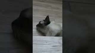 Страдаем от жары