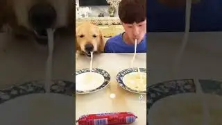 Чемпионат собаки и хозяина на кухне 😉😉😉 