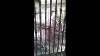 20121013 182002