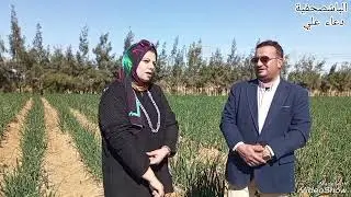 ازاي تزود دخلك  من زراعة الصحراء .. وإيه المحاصيل اللي تنفع؟!