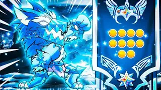 Perfect Placement Matches & Rank 1 In One Run!