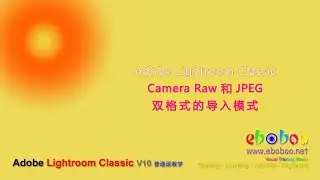 Adobe Lightroom Classic Camera Raw 和 JPEG 双格式的导入模式 - 普通话教学