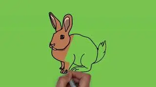 КОЁН ТАРТУУНУ УЙРОНОБУЗ