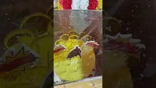 28 сентября 2024 г.