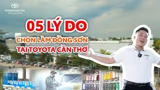 05 Lý Do Chọn Làm Đồng Sơn tại Toyota Cần Thơ | Toyota Cần Thơ 0949 919 919